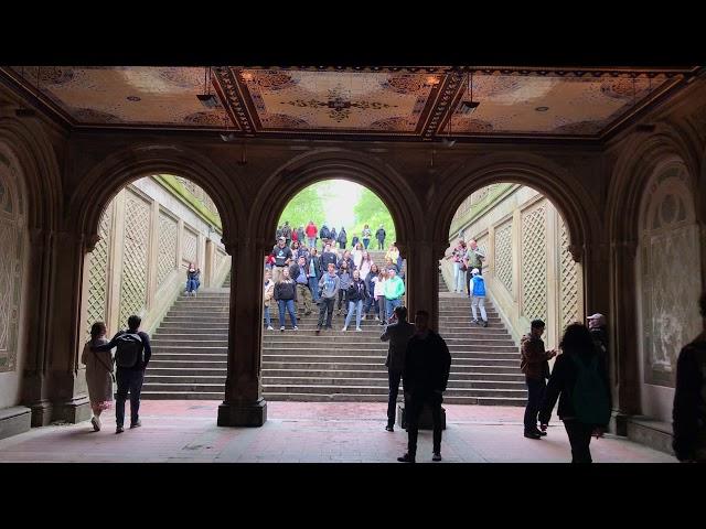 Hallelujah | Bethesda Terrace, Central Park