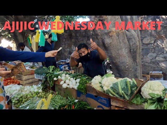 Ajijic Wednesday Market Complete Walkthrough 2022