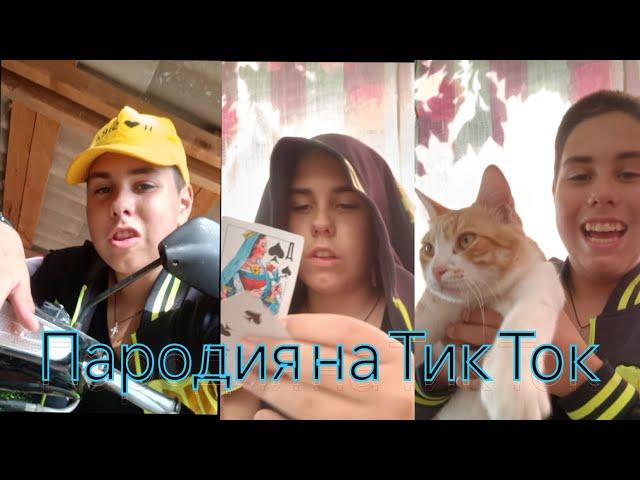 Пародия на tiktok ( Типичные Видео) ft. @barsik112