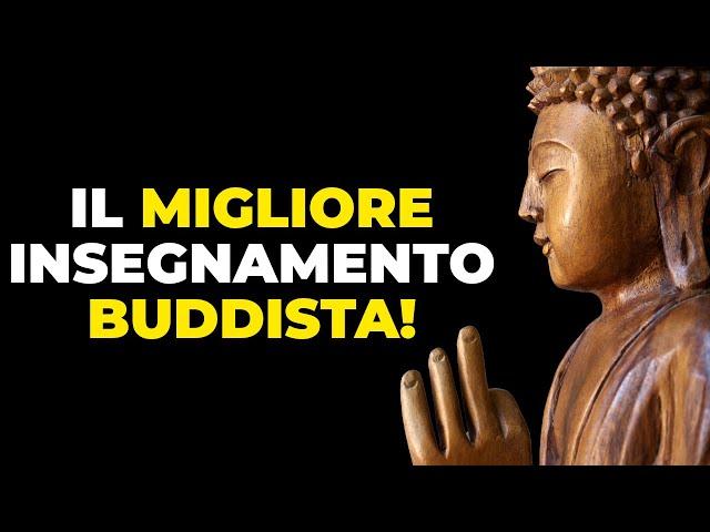 APPRENDI VELOCEMENTE CON QUESTI CONSIGLI ZEN