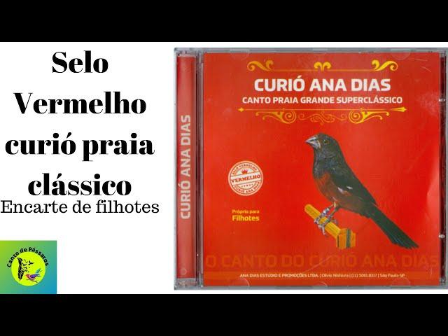 Selo Vermelho curió praia clássico -  Ana Dias