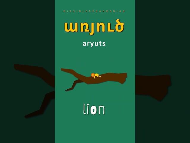 LION  Առյուծ [ aryuts ]  Wild Nature Vocab Series | English - Armenian