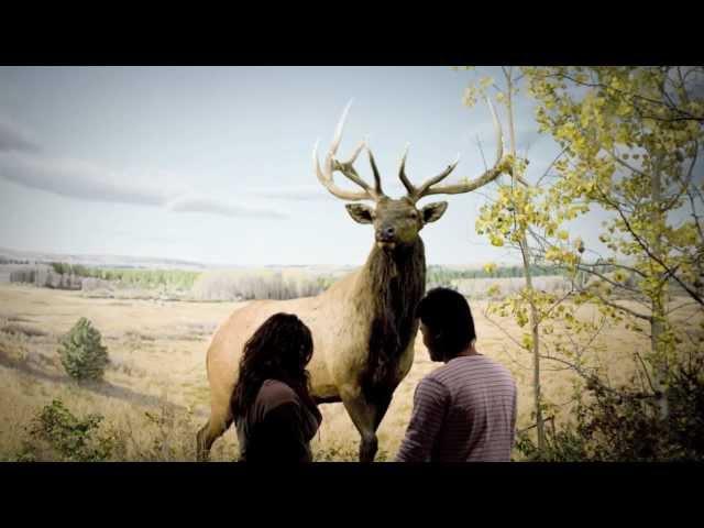 The Manitoba Museum | Manitoba History | Your Adventure Starts here