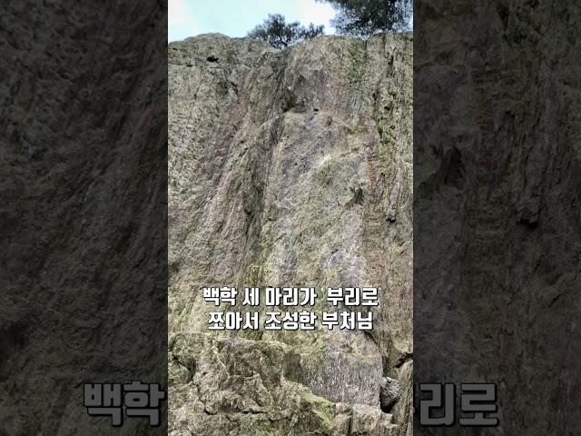백학 세마리가 부리로 쪼아서 조성한 부처님 / 천안 성불사
