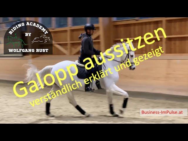 F5 Pferde richtig galoppieren lernen. Als Reiter Pferde im Galopp treiben & sitzen lernen. Zeitlupe