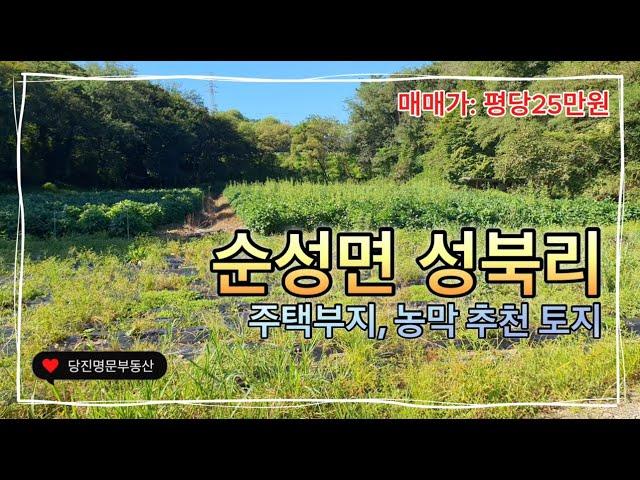 [매물번호:1378]당진토지매매당진시 순성면 성북리  8미터 도로에 접한 주택부지,농막 추천 토지매매 / 520평(1,719m2) /평당25만원