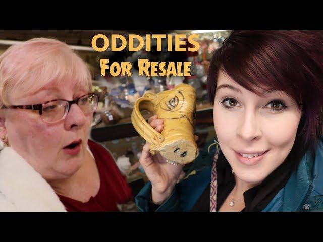 Finding Oddities at the Antique Shop | Vintage Buying & Reselling | Crazy Lamp Lady