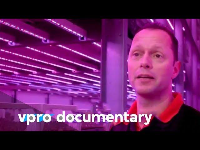 Digital Food: feed the world - VPRO documentary - 2015