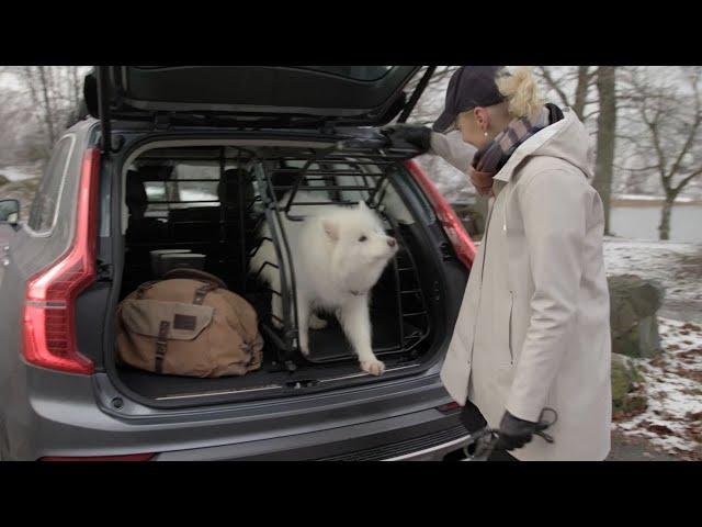 Volvo Cars and Pet Safety