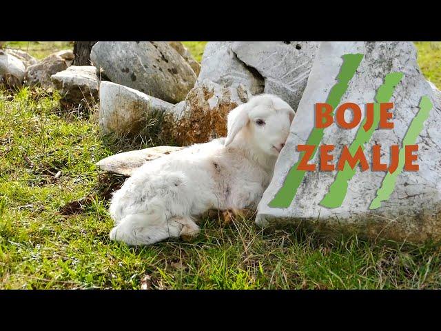 Poljoprivredna emisija Boje zemlje 2.6.2024.