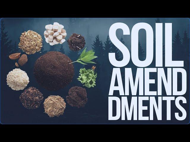 The BEST Organic Soil Amendments For Your Garden!