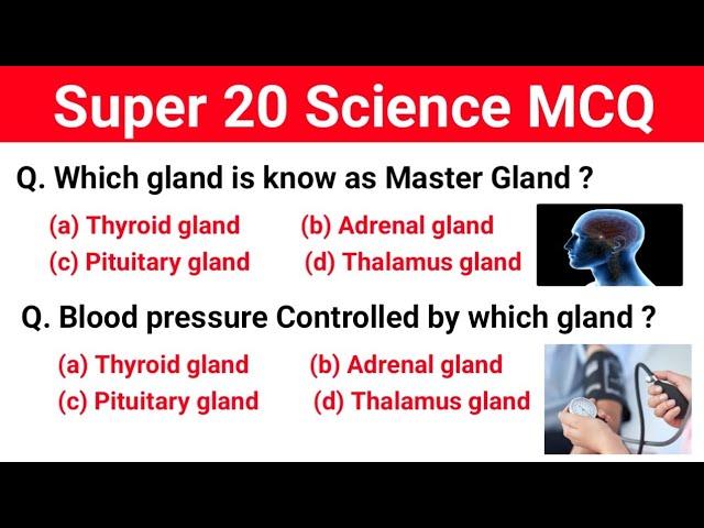 Super 20 Science MCQ | Important Science Questions for all competitive exam