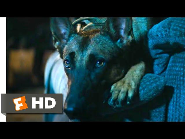 Dog (2022) - Scared of Storms Scene (7/10) | Movieclips