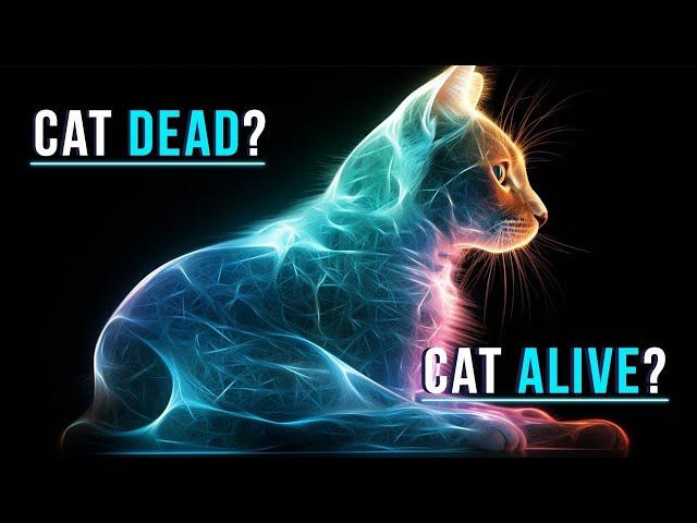 The Schrodinger's Cat  Visually Explained: Is The Cat Dead or Alive?