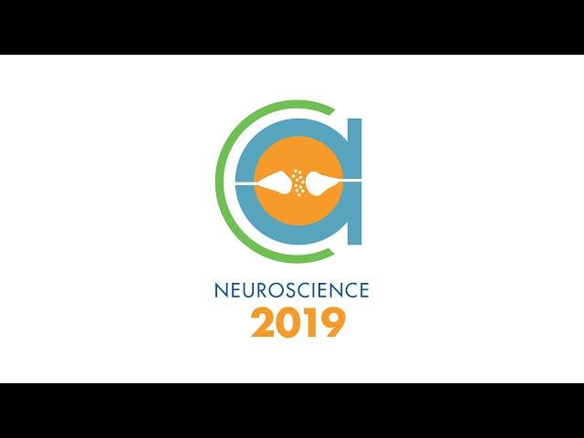 Neuroscience 2019: Discover Your Next Inspiration in Brain Research