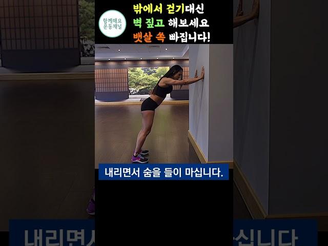40대 이후 집에서 벽짚고 해보세요 뱃살 싹다 날라갑니다. [집에서 운동, 마운틴 클라이머, 서서하는 복근운동, 뱃살빼는운동]