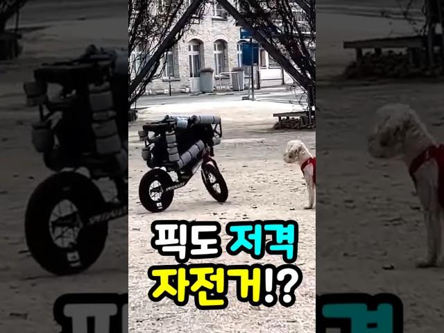 사람보다 자전거를 잘타는 역대급  미국의 로봇 자전거 #픽시 #산악자전거 #BMX