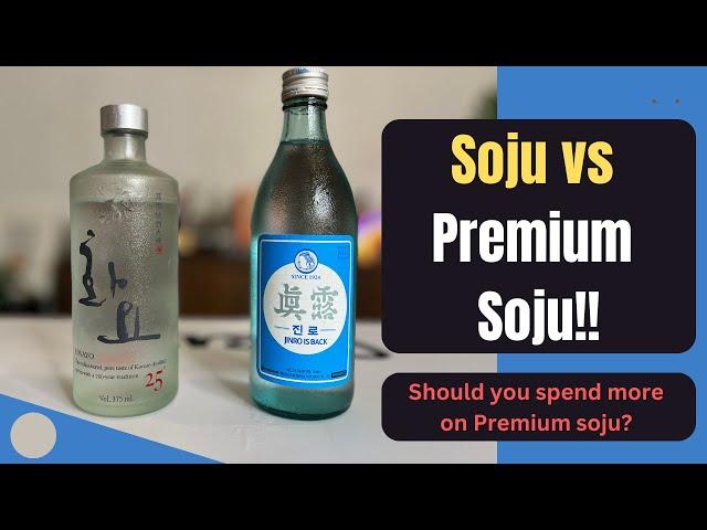 Hwayo 25 Premium Soju vs Jinro is Back Soju - Honest Review!