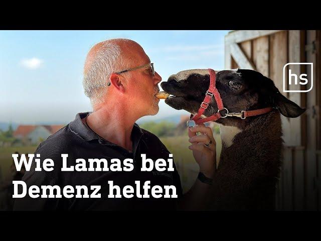 Ein Tag mit Therapie-Tieren: Mit dem Lama bei Demenz-Patienten | hessenschau