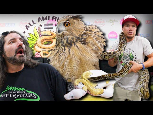 What REALLY Happened at the CHarlotte Reptile Show?!