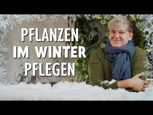 Der Winter naht? Diese 5 Pflegetipps musst du JETZT bei Zimmerpflanzen beachten 