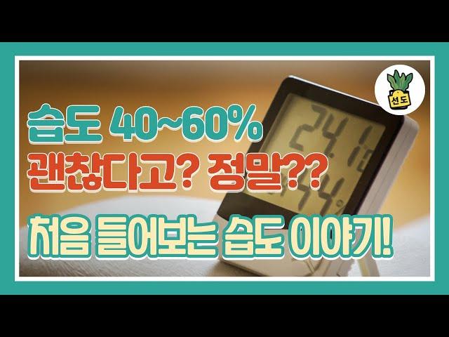 습도 60%가 건조하다고? - 상대습도 만으로는 해결 안되는 온도와 절대습도와의 관계