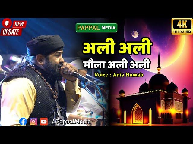 Ali Ali Maula Ali Ali | Anis Nawab | Umred Qawwali 2024 | Pappalshah Baba Urs