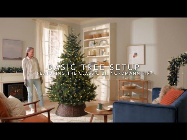 Basic Tree Setup Featuring The Classic Balsam Hill BH Nordmann Fir