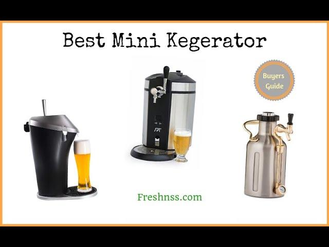 Best Mini Kegerator Reviews (2022 Buyers Guide)