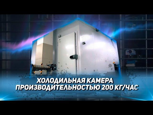 Холодильная камера. Промышленное холодильное оборудование.  Конвейерные системы.