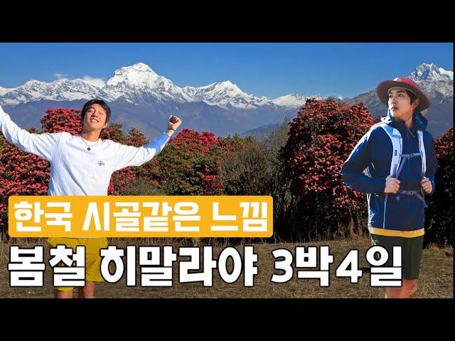 압도적 비경! 8,000m급 고봉과 야생화를 동시에 보면서 걸을 수 있는 숨겨진 히말라야 숲길에서 3박 4일