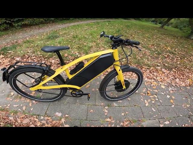 Smart Electric bike 55km/h with ease Ellio E Bike