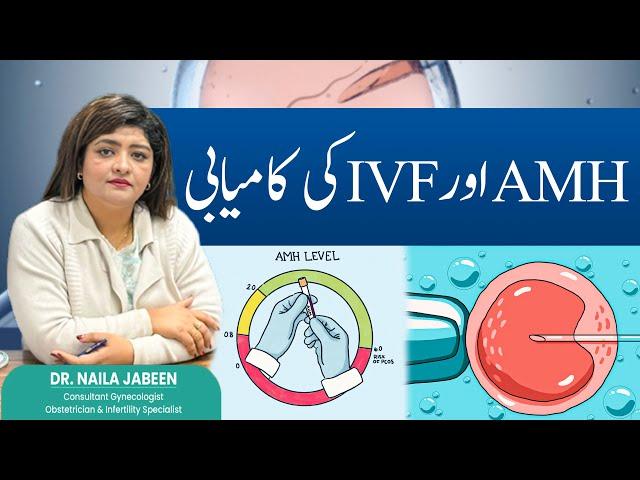 AMH Levels and IVF Success: What You Need to Know