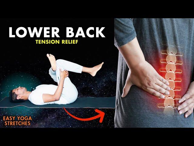 Yoga for Lower Back Pain Relief | Beginners Tension Relief Yoga Stretches #backpain