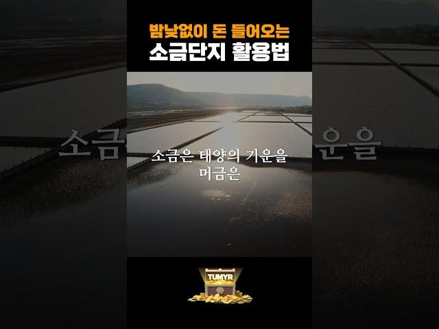 돈 들어오는 풍수비법! 소금과 이것을 함께두면 큰돈이 들어옵니다