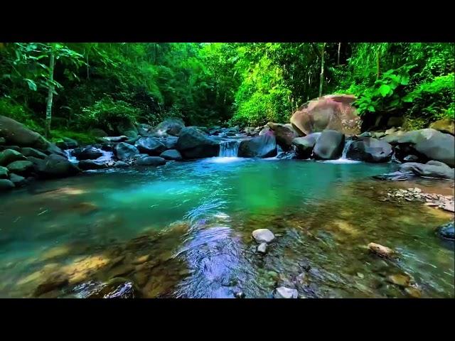 Bukit Menoreh River Sounds with Birdsong – Calming Sleep Ambience