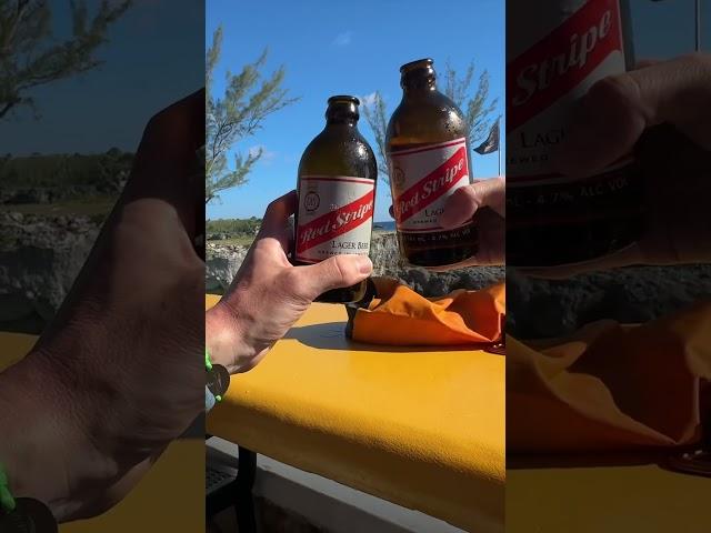 This is Why Everyone is Visiting Negril, Jamaica! (Top 8 Must-Dos)