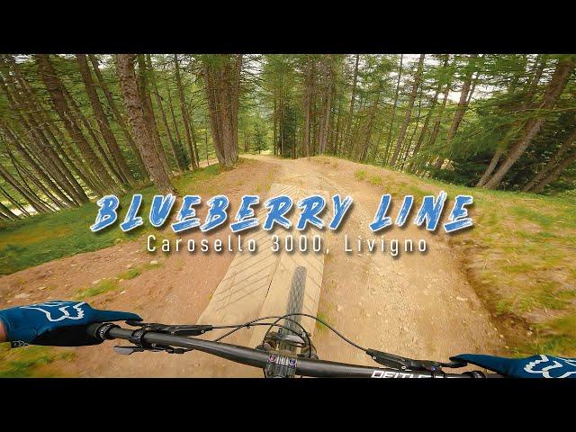 Blueberry Line - Carosello 3000, Livigno