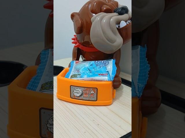 Shaking chewing gumms in maddog tray