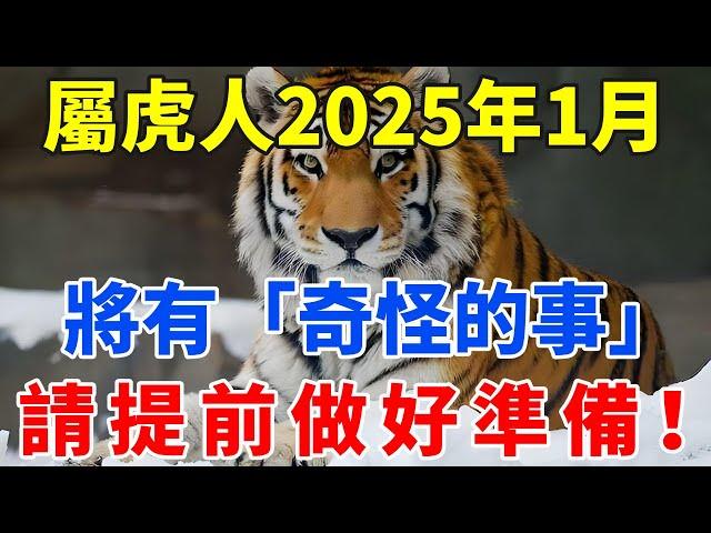 屬虎人，請小心！2025年1月將有「奇怪的事」！請提前做好準備！【佛語禪音】#生肖 #命理 #運勢 #屬相 #風水