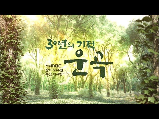 [MBC 특집 자연다큐] 30년의 기적!  운곡 [내레이션 배우 최불암]