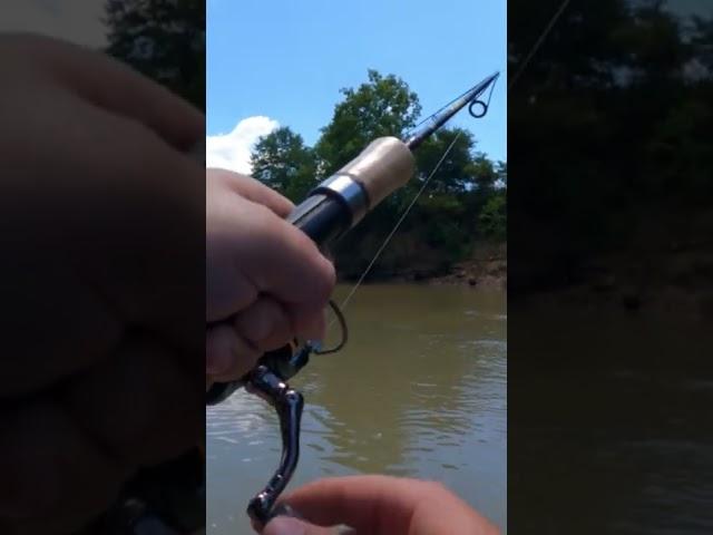 Monster Rainbow Trout! #Shorts #TroutFishing #KayakFishing