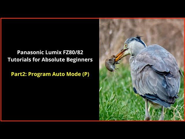 Panasonic Lumix FZ80/82 For Absolute Beginners Part 2:  Program auto  mode