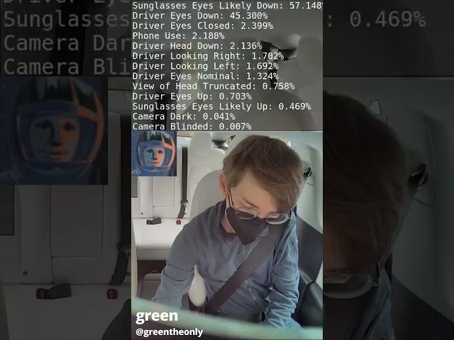 Tesla Internal Camera AI Vertical Phone Version!