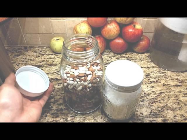 Ball Mason Canning Jar Plastic Storage Caps Review