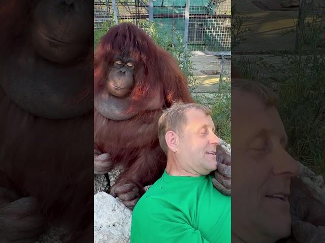 #shorts Видео на МИЛЛИОН для поднятия настроения, Олег Зубков и Дана едят шелковицу)))