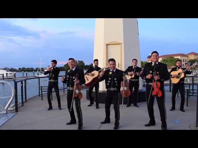 El mariachi loco/mariachi fiesta/el #1./cont:469-520-2356