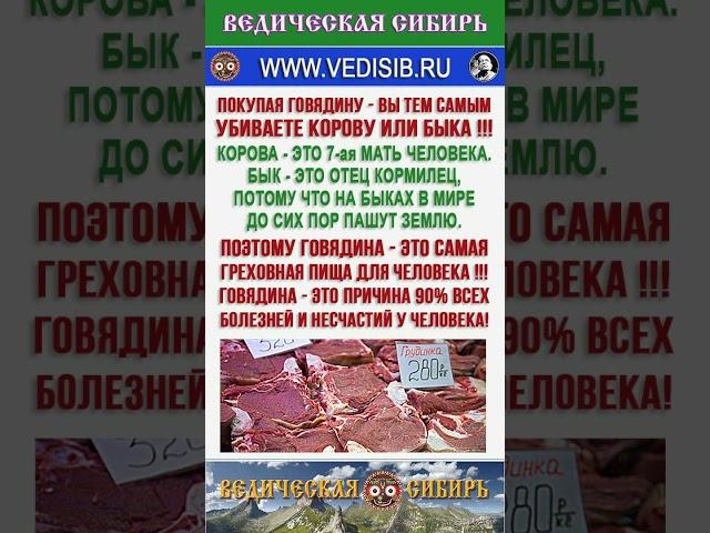 МЯСО - ЭТО ОЧЕНЬ ГРЕХОВНАЯ ПИЩА !!!  #господь #ведическая сибирь #всевышний #душа