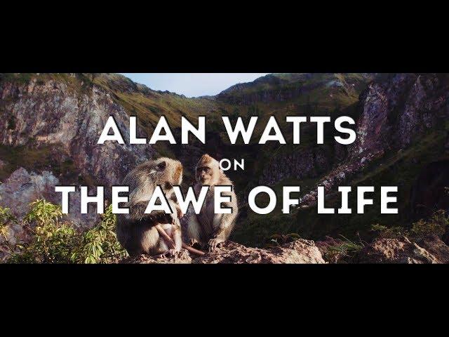 Alan Watts: The Beauty of Life