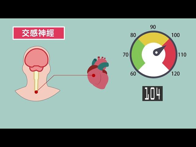 51524_腹式呼吸放鬆引導練習